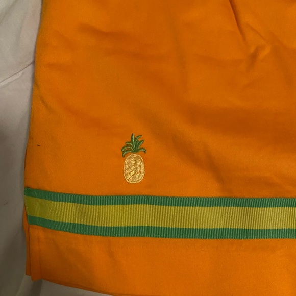 Bamboo Traders 8 petite skirt skort- pineapples- preppy and tropical mini skirt - Picture 4 of 4